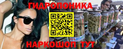 стафф Владимир