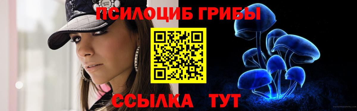 Норильск  Псилоцибиновые грибы прущие грибы  Вход с VPN 